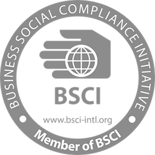 bsci-logo
